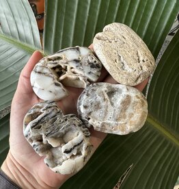 Sphalerite Palm Stone, Size Small [75-99gr]