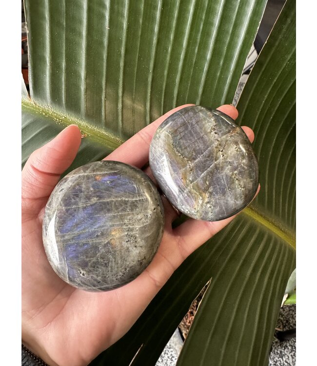 Labradorite Palm Stone, Size X-Large [150-174gr]