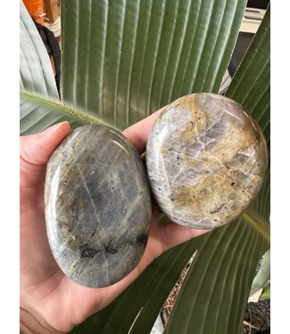 Labradorite Palm Stone, Size Jumbo-Plus [225-249gr]