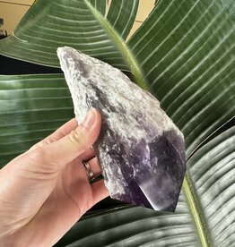 Amethyst Root #107, 886gr *disc.*