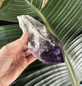 Amethyst Root #116, 842gr *disc.*