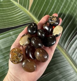 Amber Tumbled Stones, Polished Amber; 1 sizes available, purchase individual or bulk