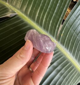 Cicada #2 Amethyst, 46gr