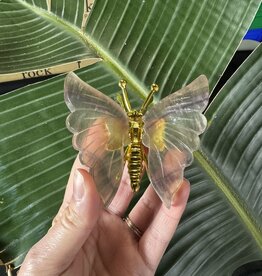 Fluorite Butterfly, Gold #4, 126gr