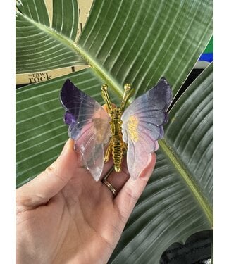 Fluorite Butterfly, Gold #7, 122gr