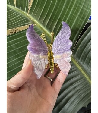 Fluorite Butterfly, Gold #11, 110gr