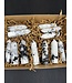 Rainbow Moonstone Points 1KG bulk lot
