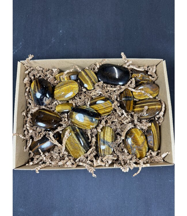 Tiger Eye Palms 1KG bulk lot