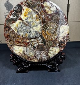 Ammonite Plate with Stand #2, 734gr