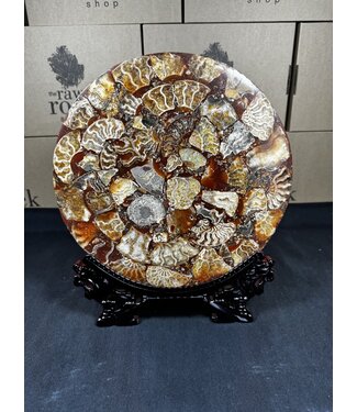 Ammonite Plate with Stand #4, 934gr