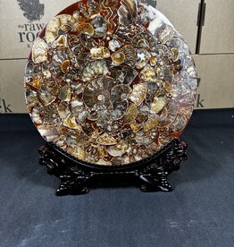 Ammonite Plate with Stand #5, 556gr