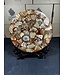 Ammonite Plate with Stand #4, 934gr