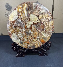 Ammonite Plate with Stand #3, 1068gr