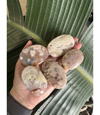 Pink Amethyst Palms, lower quality, Size X-Small [50-74gr]