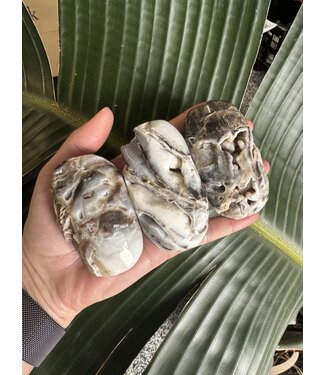 Sphalerite Palm Stone, Size Large [125-149gr]
