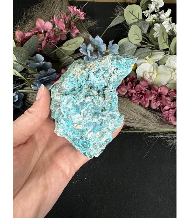 Drusy Coated Chrysocolla with Malachite #40, 464gr