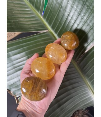 Golden Healer Palm Stone, Size Small [75-99gr]