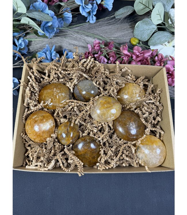 Golden Healer Palm 1KG bulk lot