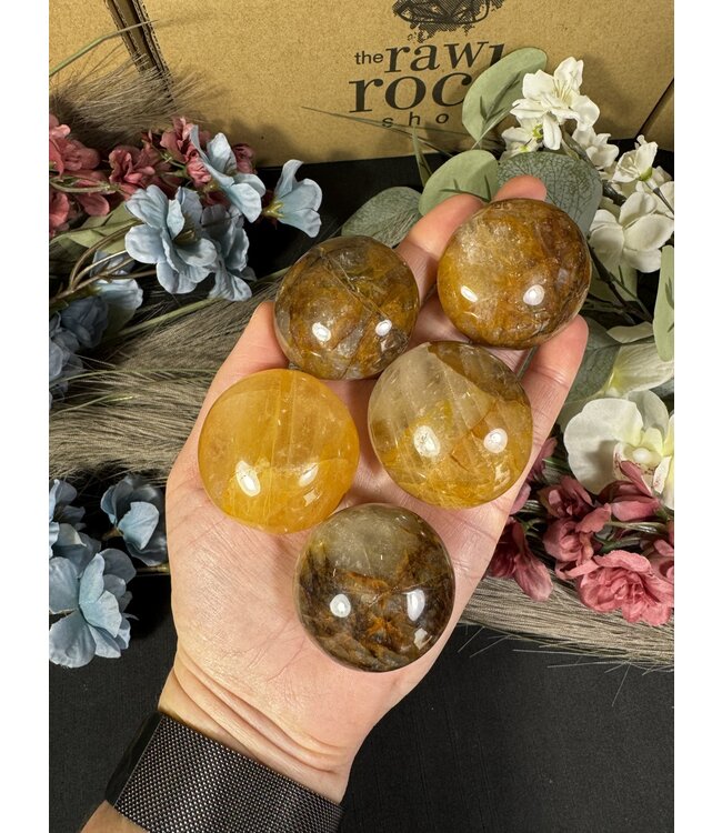 Golden Healer Palm Stone, Size X-Small [50-74gr]