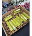 Lemon Jade Points 1KG bulk lot