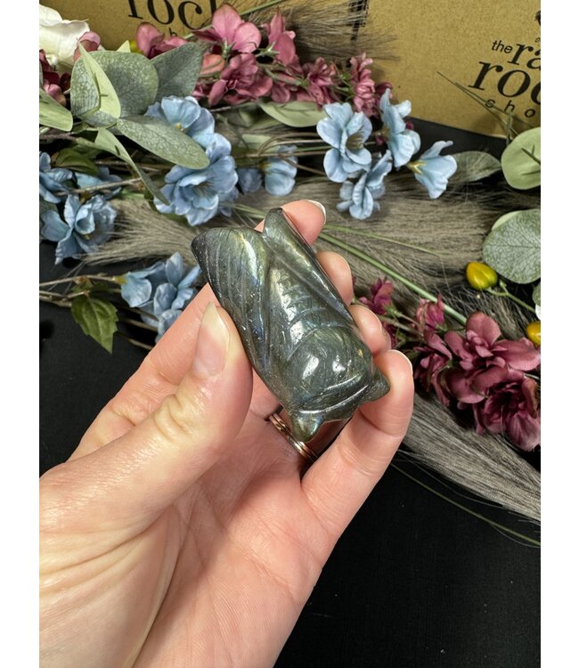 Labradorite Cicada #3, 38gr