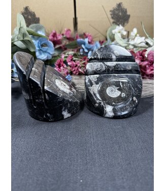 Orthoceras Polished Card Holder *disc.*