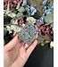 Grape Agate #345, 134gr