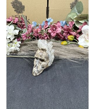 Cluster Skull #24, 128gr