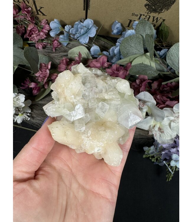 Apophyllite Specimen #1117, 236gr