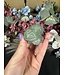 Green Aventurine Bulbasaur Carving, Pokémon Carving