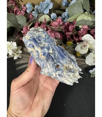Kyanite Specimen #262, 448gr