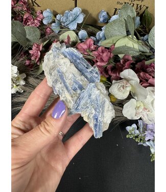 Kyanite Specimen #281, 216gr