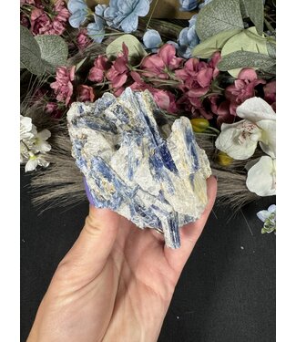 Kyanite Specimen #285, 350gr