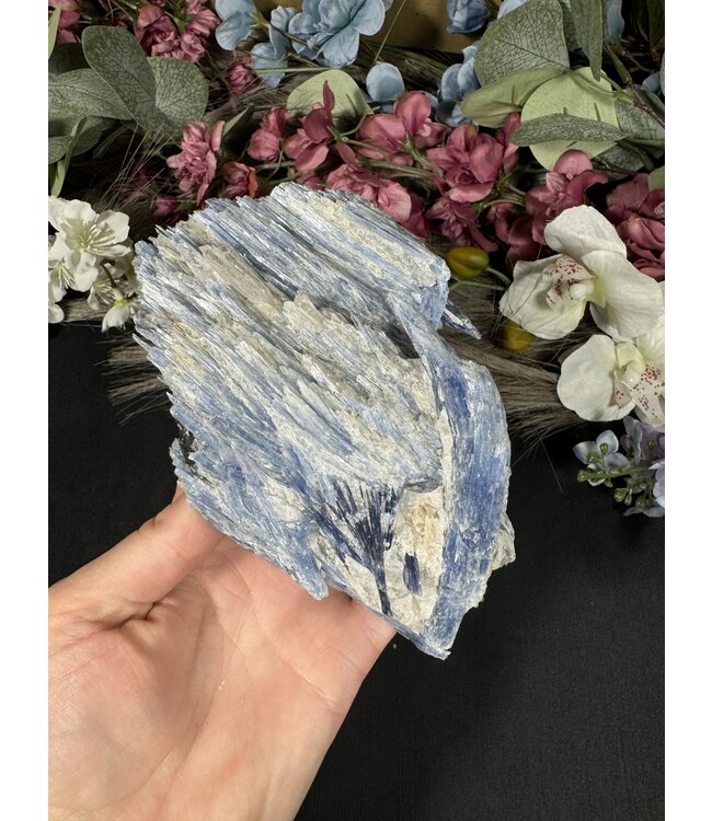 Kyanite Specimen #261, 704gr