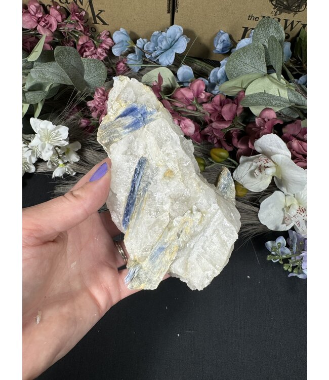 Kyanite Specimen #264, 544gr