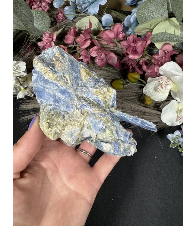 Kyanite Specimen #284, 376gr