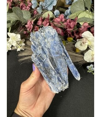 Kyanite Specimen #297, 628gr