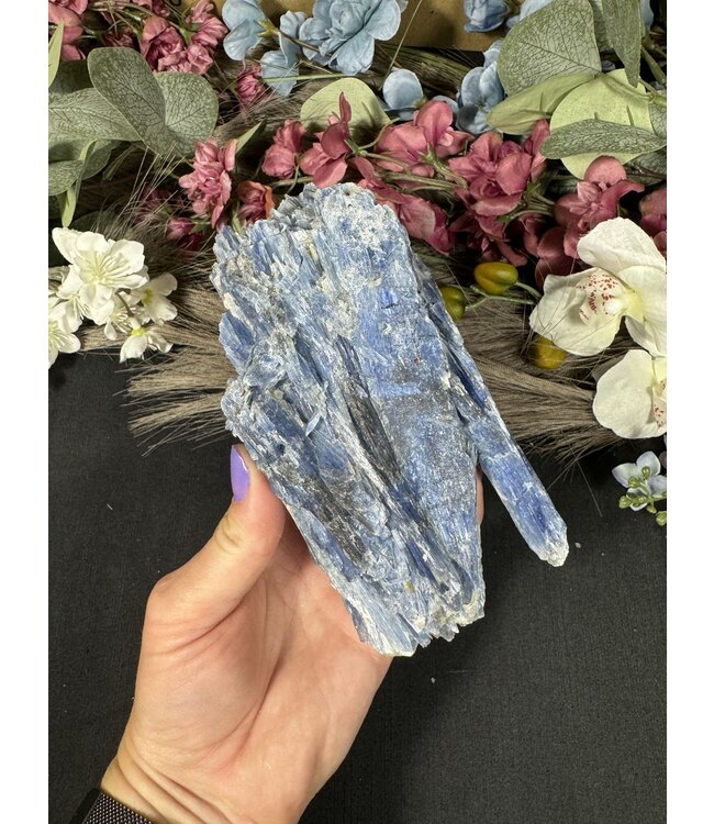 Kyanite Specimen #297, 628gr