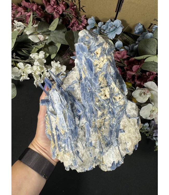 Kyanite Specimen #303, 4000gr