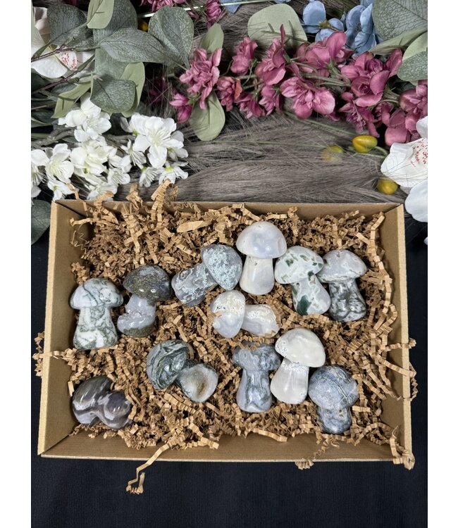 Moss Agate Mushrooms 1KG bulk lot