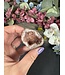 Pink Amethyst Geode Specimen #23, 36gr