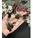 Smoky Quartz Cluster Lot #18, 160gr