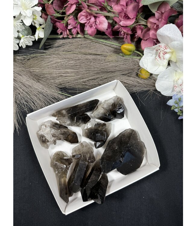 Smoky Quartz Cluster Lot #42, 502gr
