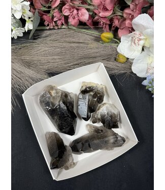 Smoky Quartz Cluster Lot #40, 508gr