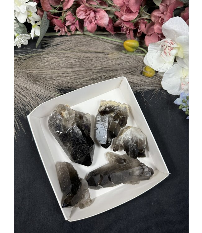 Smoky Quartz Cluster Lot #40, 508gr