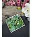 Green Aura Cluster #250, 316gr