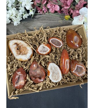 Large Carnelian Egg Bulk Lot #2