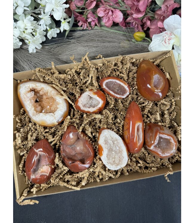 Large Carnelian Egg Bulk Lot #2