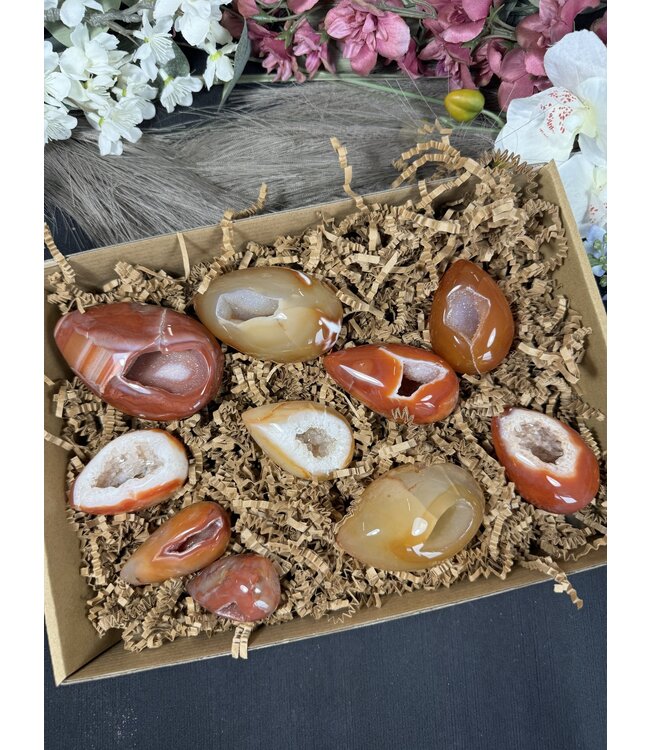 Large Carnelian Egg Bulk Lot #4