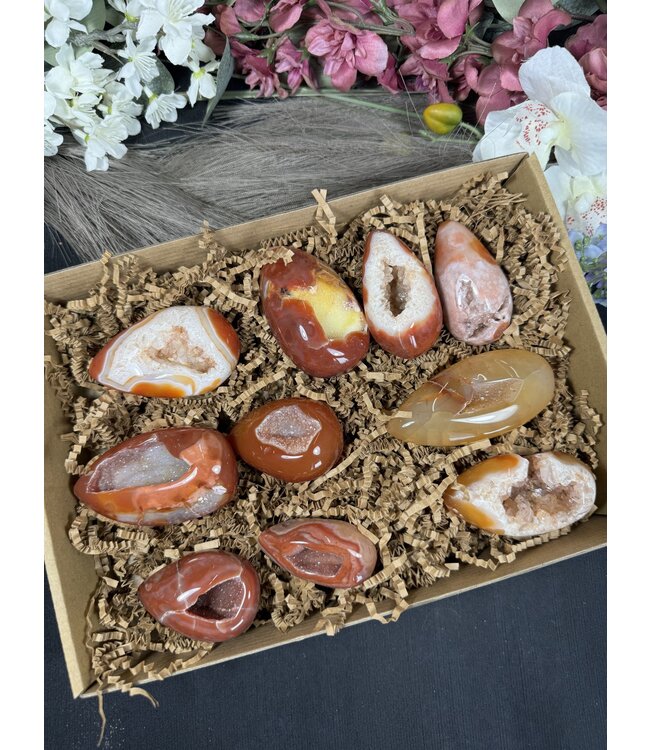 Large Carnelian Egg Bulk Lot #6